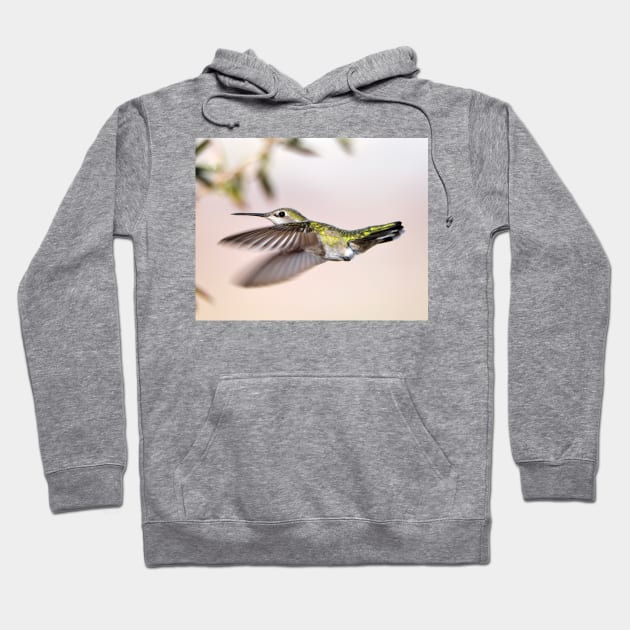 Flying Anna's Hummingbird Hoodie by DeniseBruchmanPhotography